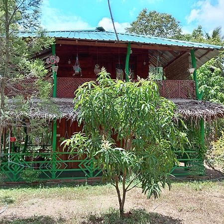 Sigiri Lion Eco Palace Sigiriya Ngoại thất bức ảnh
