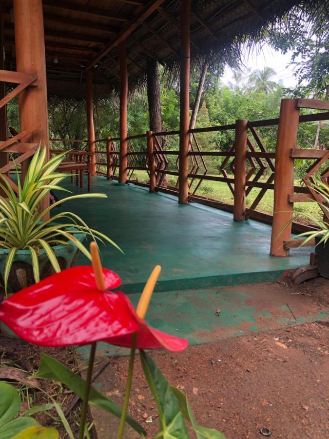 Sigiri Lion Eco Palace Sigiriya Ngoại thất bức ảnh