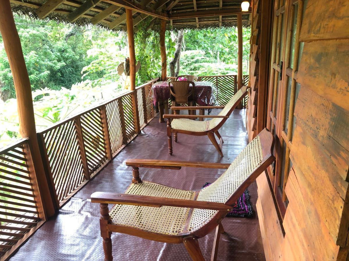Sigiri Lion Eco Palace Sigiriya Ngoại thất bức ảnh