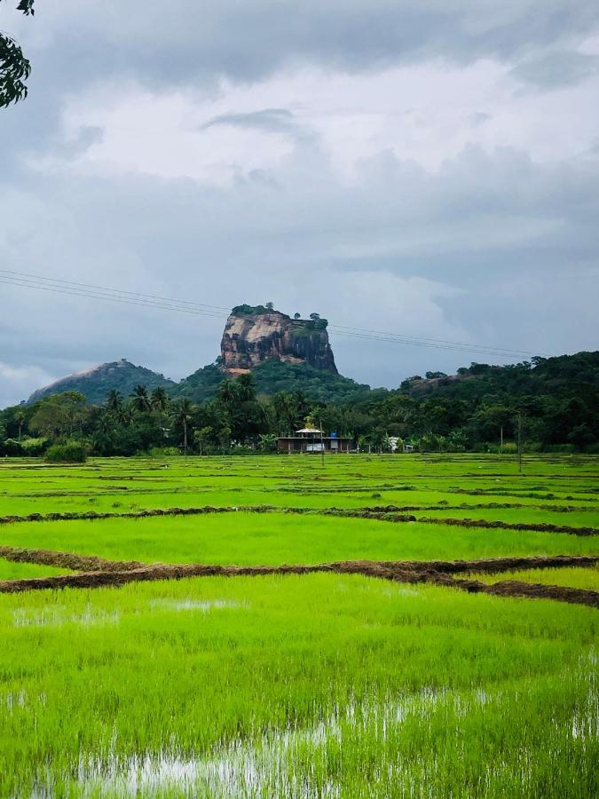 Sigiri Lion Eco Palace Sigiriya Ngoại thất bức ảnh