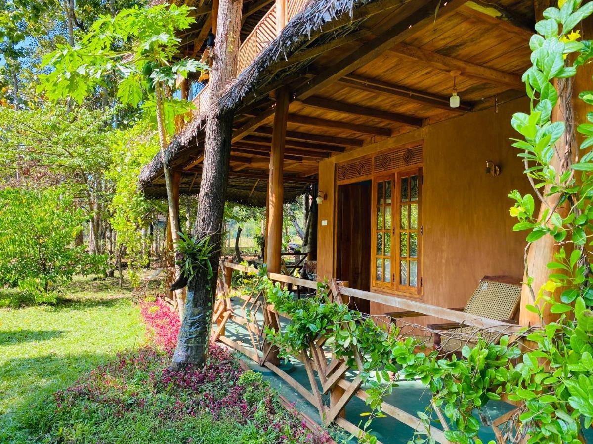 Sigiri Lion Eco Palace Sigiriya Ngoại thất bức ảnh