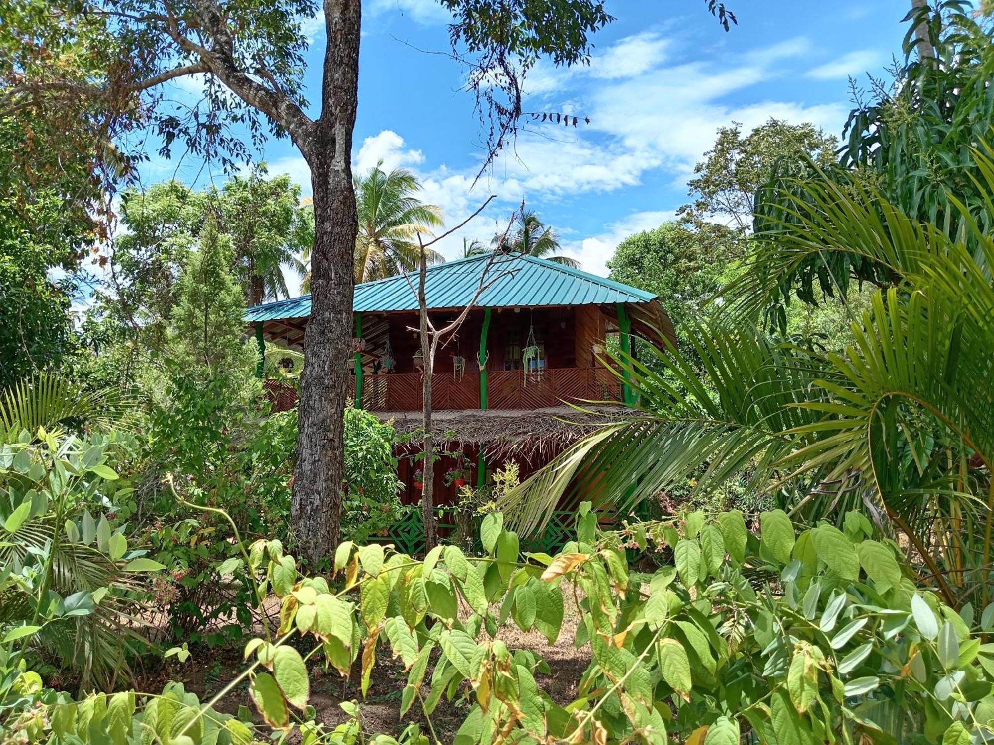 Sigiri Lion Eco Palace Sigiriya Ngoại thất bức ảnh