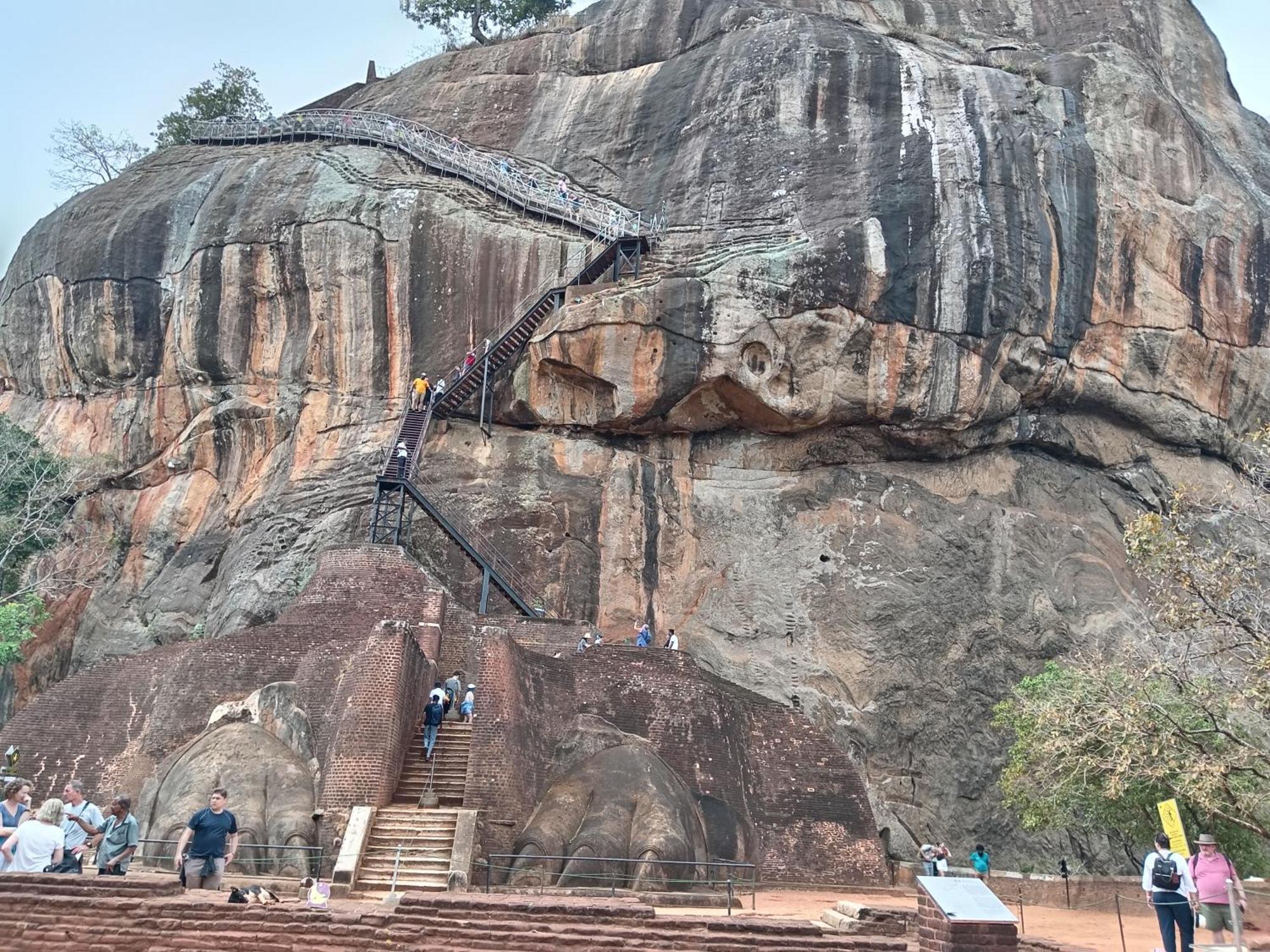 Sigiri Lion Eco Palace Sigiriya Ngoại thất bức ảnh