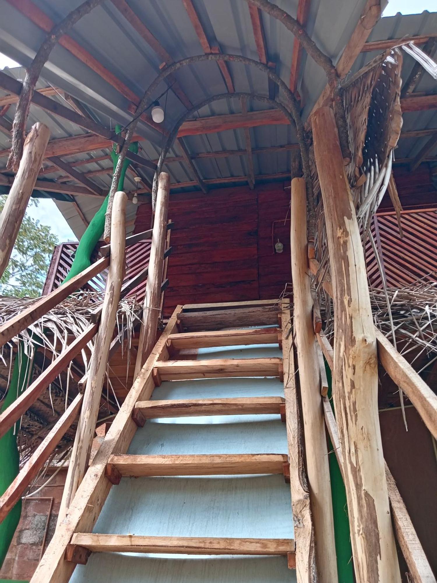 Sigiri Lion Eco Palace Sigiriya Ngoại thất bức ảnh