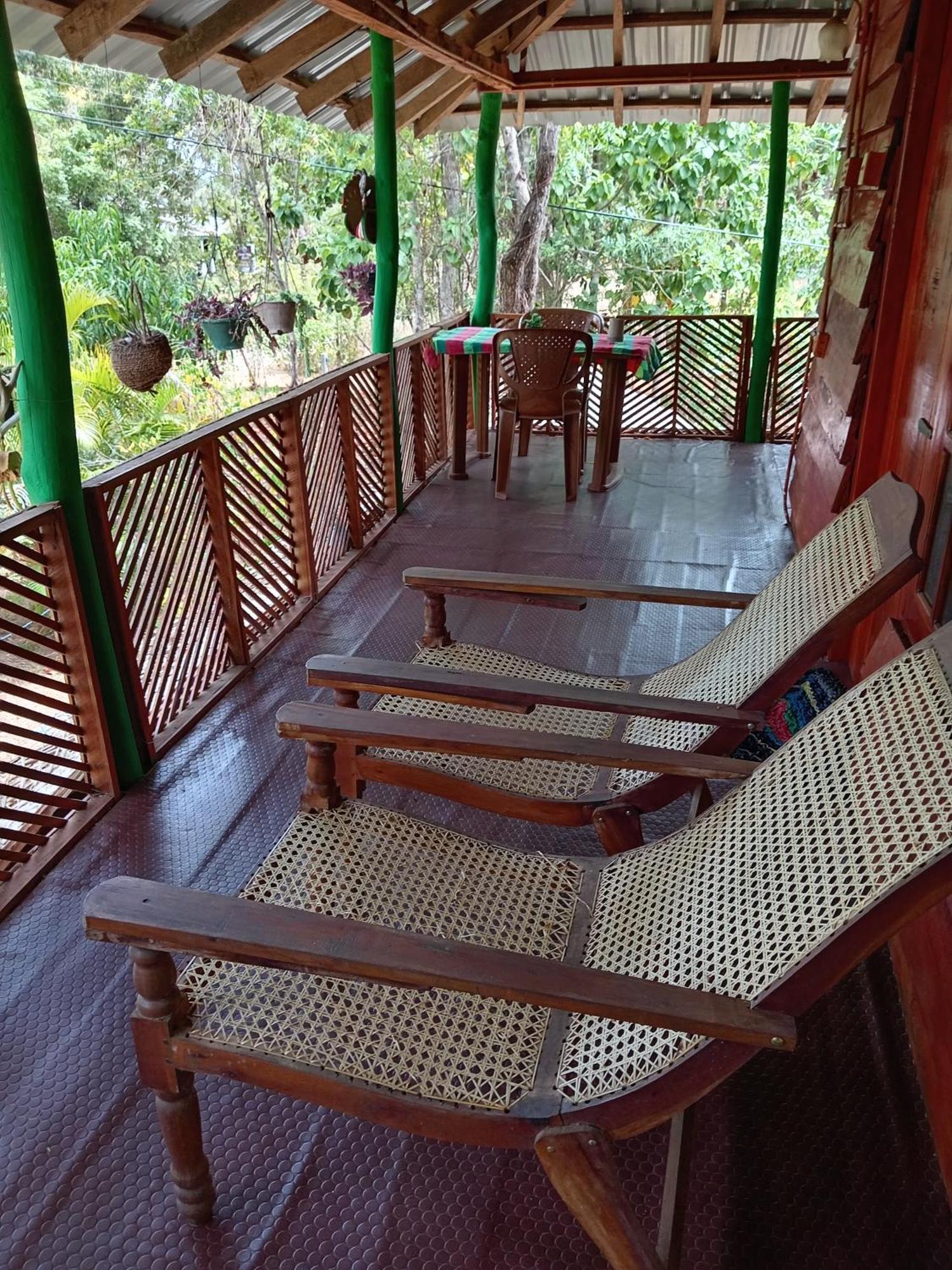 Sigiri Lion Eco Palace Sigiriya Ngoại thất bức ảnh